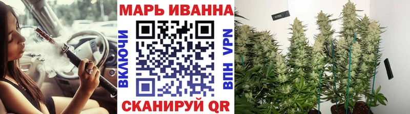Бошки марихуана VHQ  площадка клад  Старая Русса  где продают наркотики 